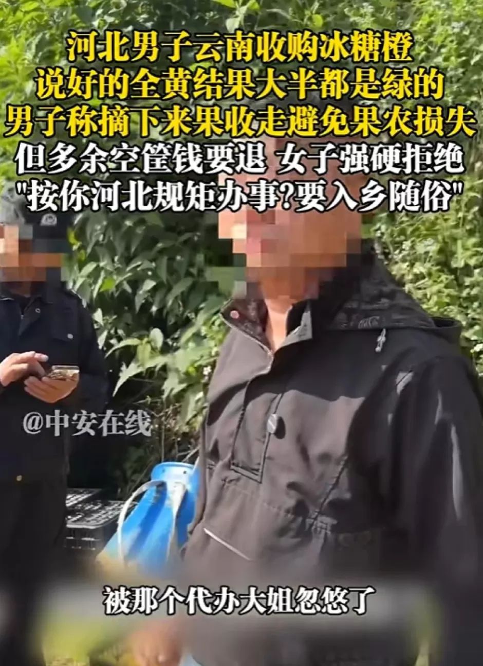 “在云南难道按河北的规矩办事”,云南官方通报男子收购冰糖橙纠纷-第1张图片- “在云南难道按河北的规矩办事”,云南官方通报男子收购冰糖橙纠纷-第1张图片-