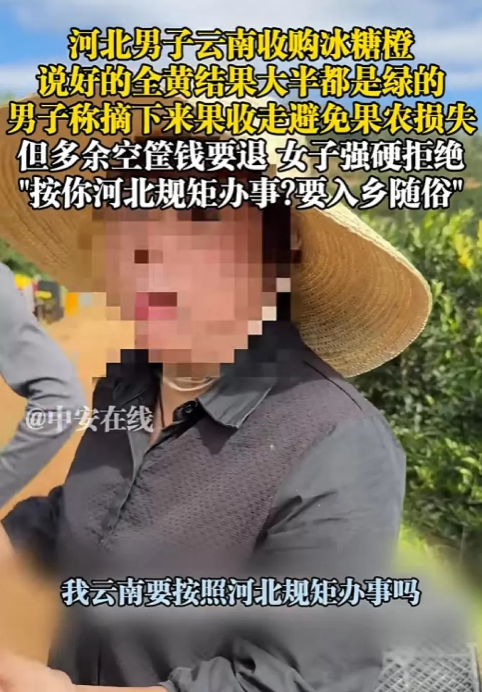 “在云南难道按河北的规矩办事”,云南官方通报男子收购冰糖橙纠纷-第2张图片- “在云南难道按河北的规矩办事”,云南官方通报男子收购冰糖橙纠纷-第2张图片-