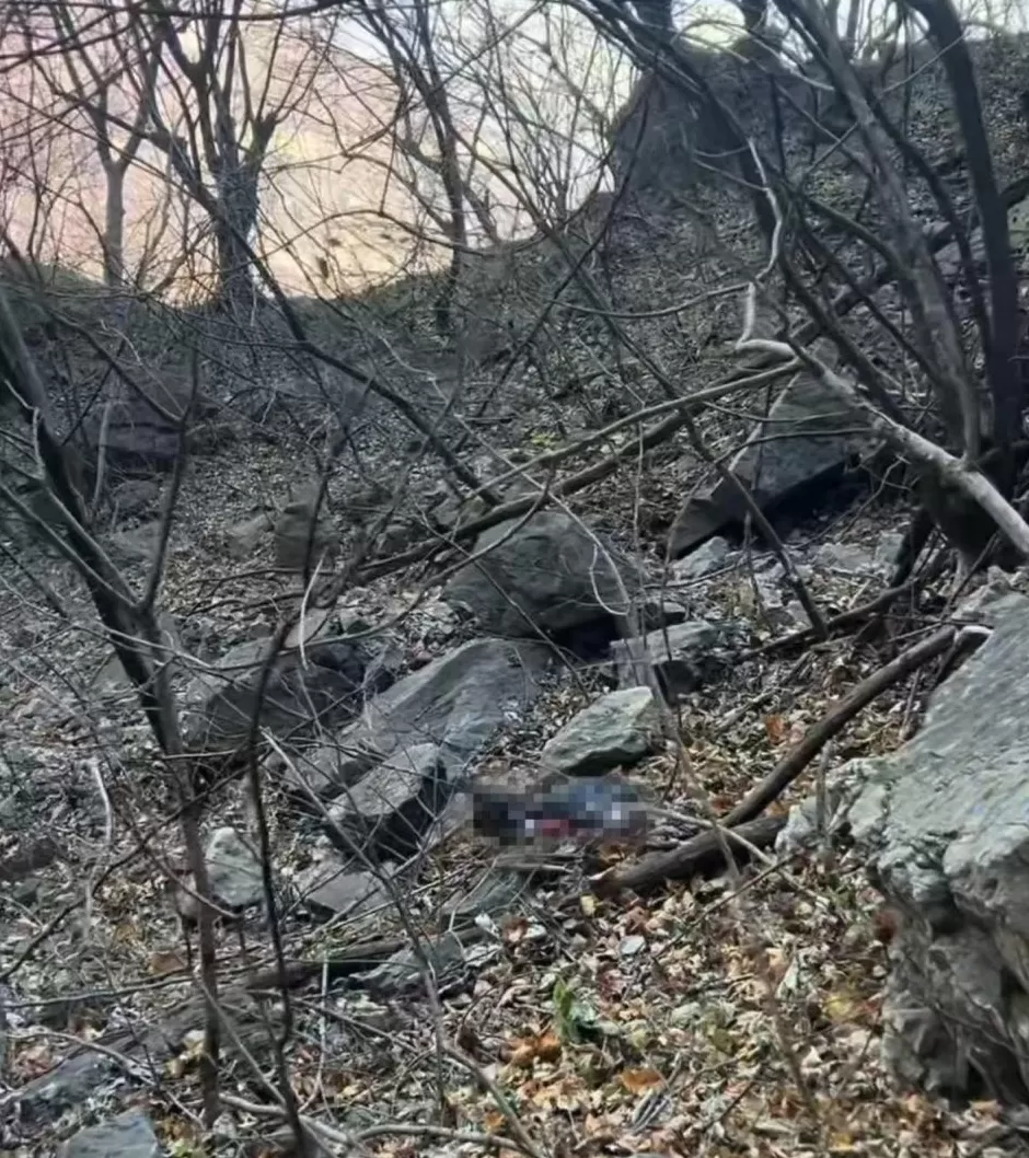 新乡南太行失联43天男子确认遇难!系从缓坡失足滚落途中撞石头昏迷-第1张图片- 新乡南太行失联43天男子确认遇难!系从缓坡失足滚落途中撞石头昏迷-第1张图片-