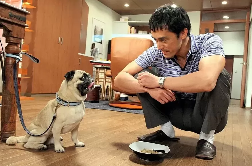 让压抑帝王变身毒舌傲娇男,真有点难为霍建华了-第3张图片- 让压抑帝王变身毒舌傲娇男,真有点难为霍建华了-第3张图片-