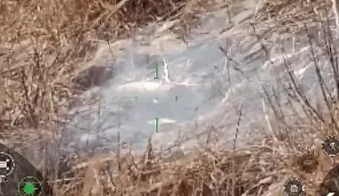 无人潜航器、磁探机器狗组团出击实训现场画面公布-第6张图片- 无人潜航器、磁探机器狗组团出击实训现场画面公布-第6张图片-