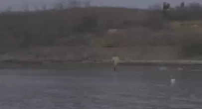 无人潜航器、磁探机器狗组团出击实训现场画面公布-第7张图片- 无人潜航器、磁探机器狗组团出击实训现场画面公布-第7张图片-