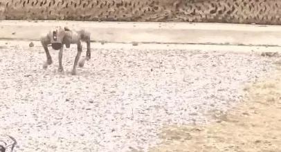 无人潜航器、磁探机器狗组团出击实训现场画面公布-第11张图片- 无人潜航器、磁探机器狗组团出击实训现场画面公布-第11张图片-