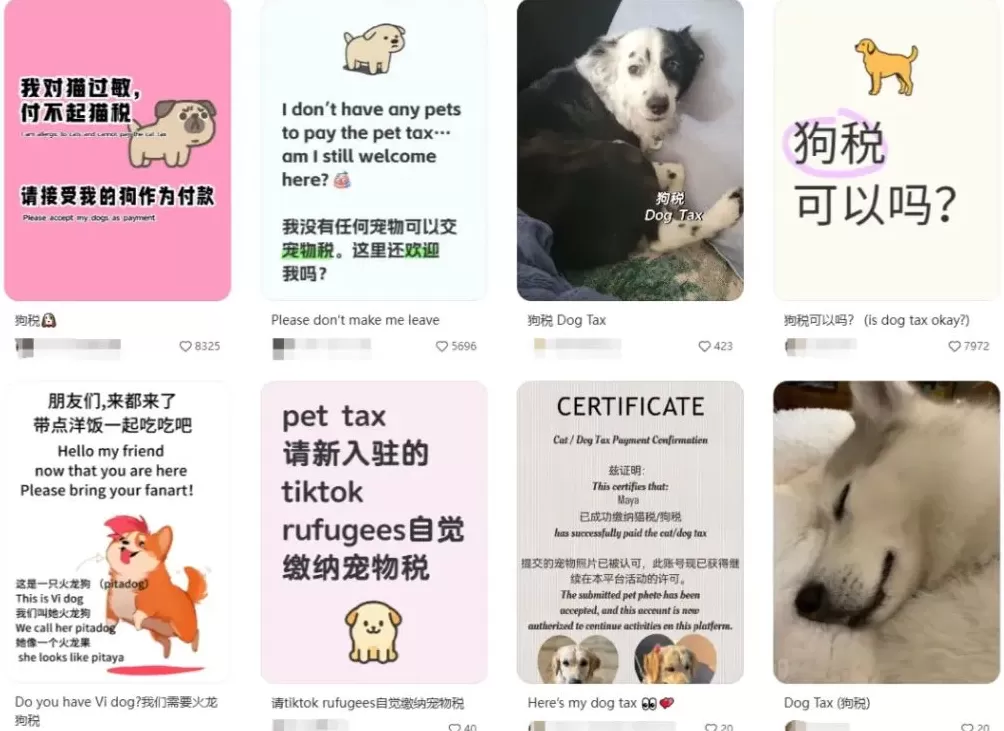 “汉语盘点”20年，今年你的年度词是什么？-第1张图片-