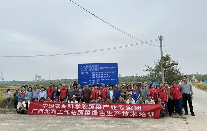 中国农科院专家团赴北海开展灾后蔬菜生产技术培训-第1张图片- 中国农科院专家团赴北海开展灾后蔬菜生产技术培训-第1张图片-