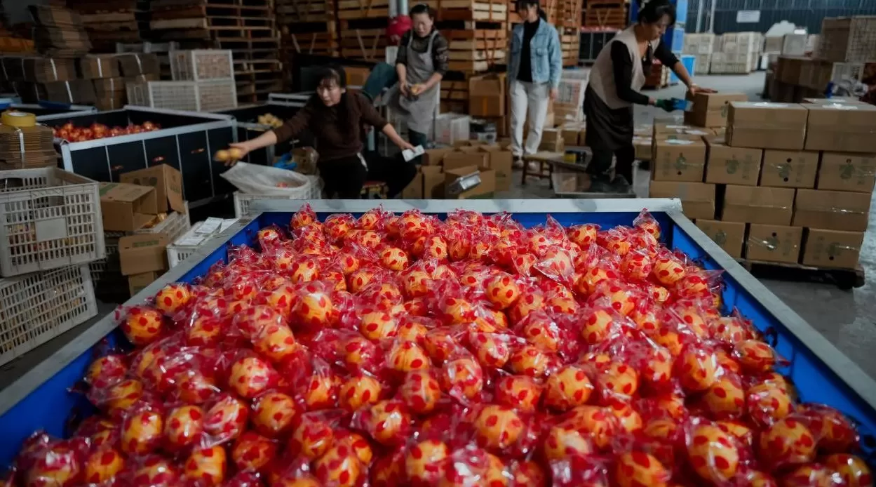 拼多多的下一个十年：“Costco+Disney”照进现实-第2张图片-