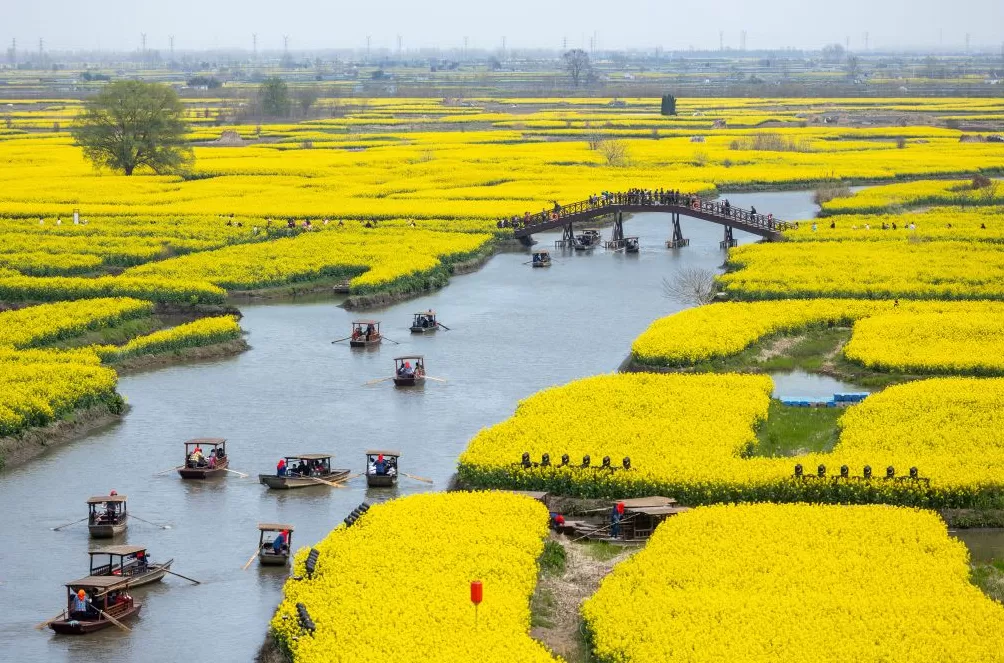 农文旅融合,看“苏中水乡”兴化如何“花开四季”-第1张图片- 农文旅融合,看“苏中水乡”兴化如何“花开四季”-第1张图片-