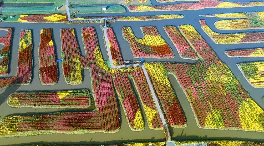 农文旅融合,看“苏中水乡”兴化如何“花开四季”-第2张图片- 农文旅融合,看“苏中水乡”兴化如何“花开四季”-第2张图片-