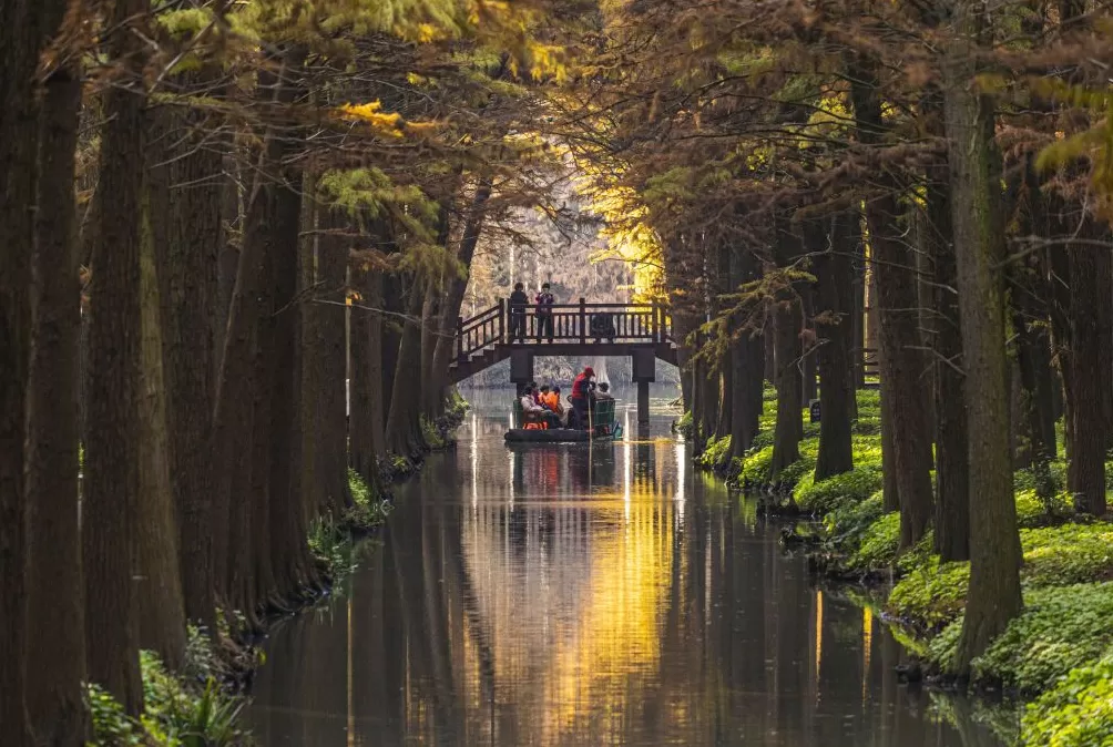 农文旅融合,看“苏中水乡”兴化如何“花开四季”-第5张图片- 农文旅融合,看“苏中水乡”兴化如何“花开四季”-第5张图片-