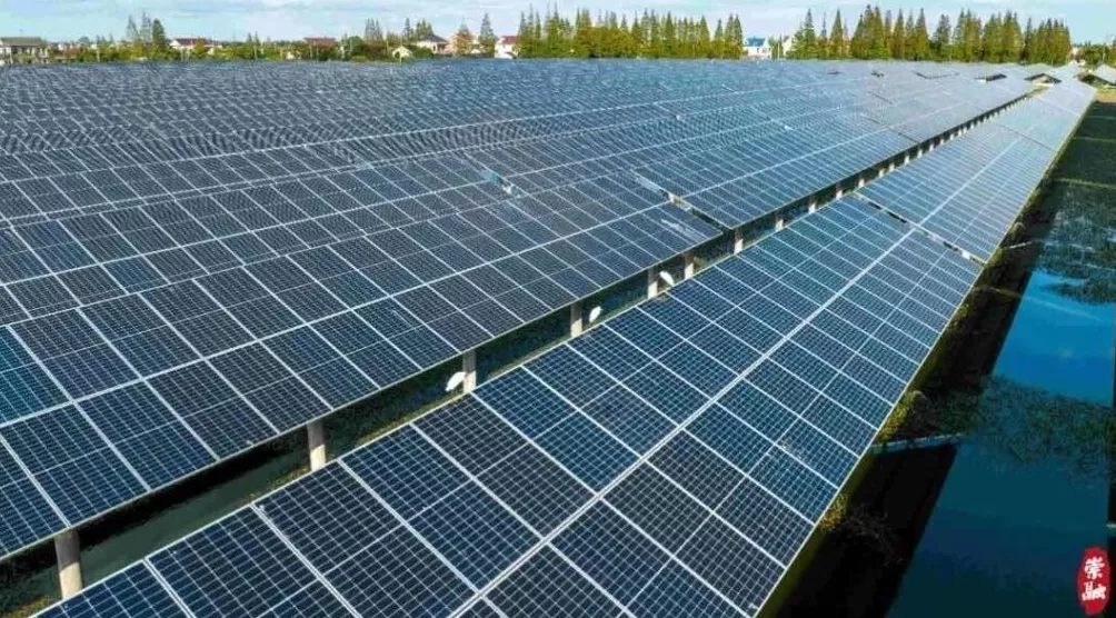 行以致远｜让好生态孕育新经济，上海崇明如何打造乡村旅游新范式-第1张图片-