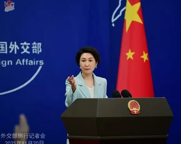 管姚：高市早苗求锤得锤，补觉之前她亟需补课补常识！-第1张图片-