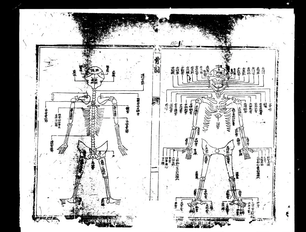 周琳：清代州县档案的“诚实”与“虚构”-第2张图片-