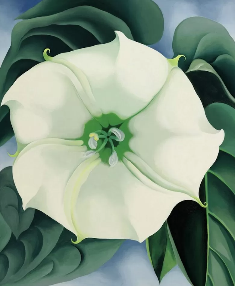 弗里达的这幅画成为史上最贵的女艺术家作品-第2张图片-