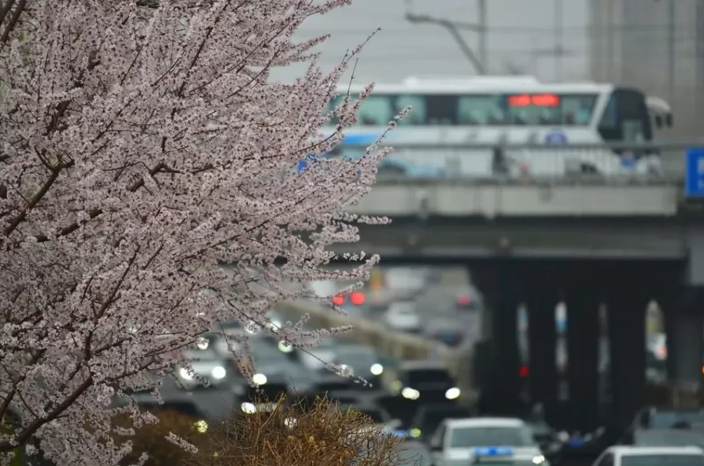 小红书上的旅游博主都是怎么骗人的-第10张图片-