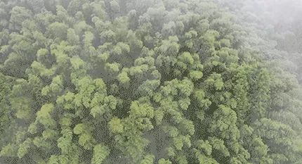 为什么是江西？-第1张图片-