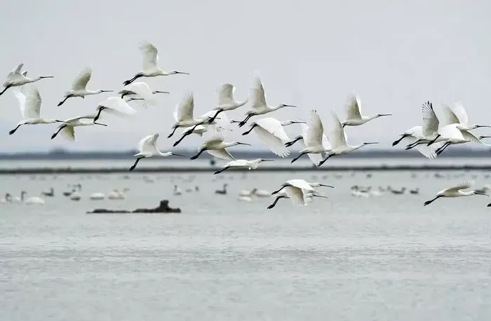 为什么是江西？-第3张图片-