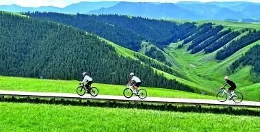 好评中国丨“绿潮”之下，青年正在重写生活新算法-第1张图片-