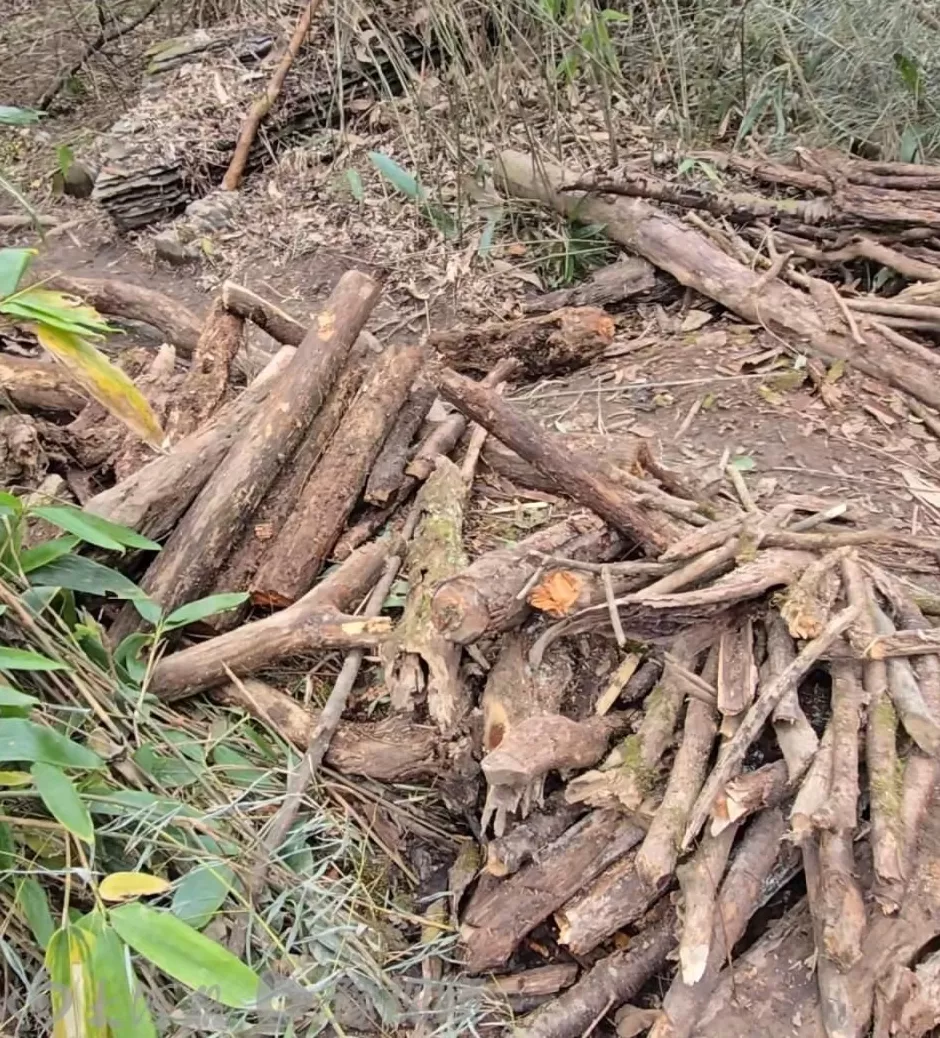 百亿流量背后的荒野争议：14名素人求生赛爆火，安全、生态与规则的三重考验-第3张图片-