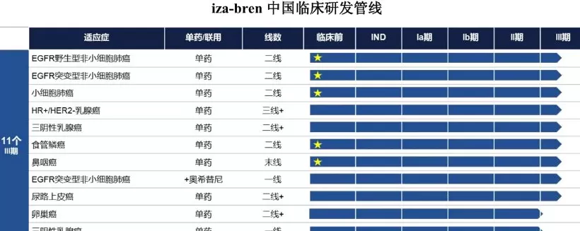 百利天恒获80亿授信，暂缓IPO后继续“输血”国际化-第2张图片-