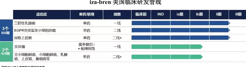 百利天恒获80亿授信，暂缓IPO后继续“输血”国际化-第3张图片-