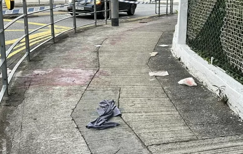 香港警方披露“男子被刀斩案”进展：共10名涉案人员被捕，最大76岁有黑社会背景-第1张图片-