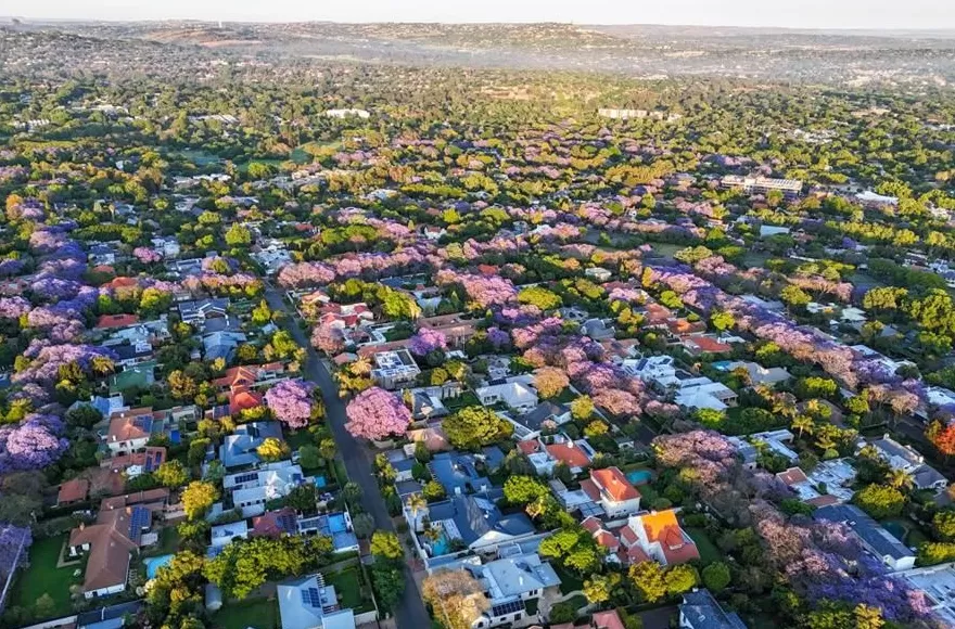 热点追踪｜第二十次G20峰会-第1张图片-