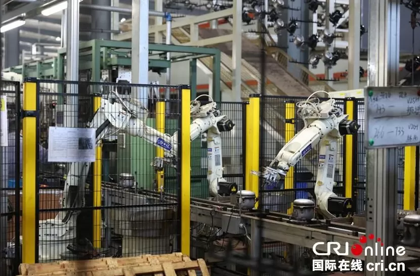 【2025打卡中国】商丘民权有多“冷”？外国网红在这里找到了一条百亿“热”链！-第2张图片-