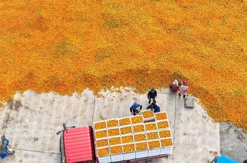 不管月薪多少，国事连着家事-第3张图片-