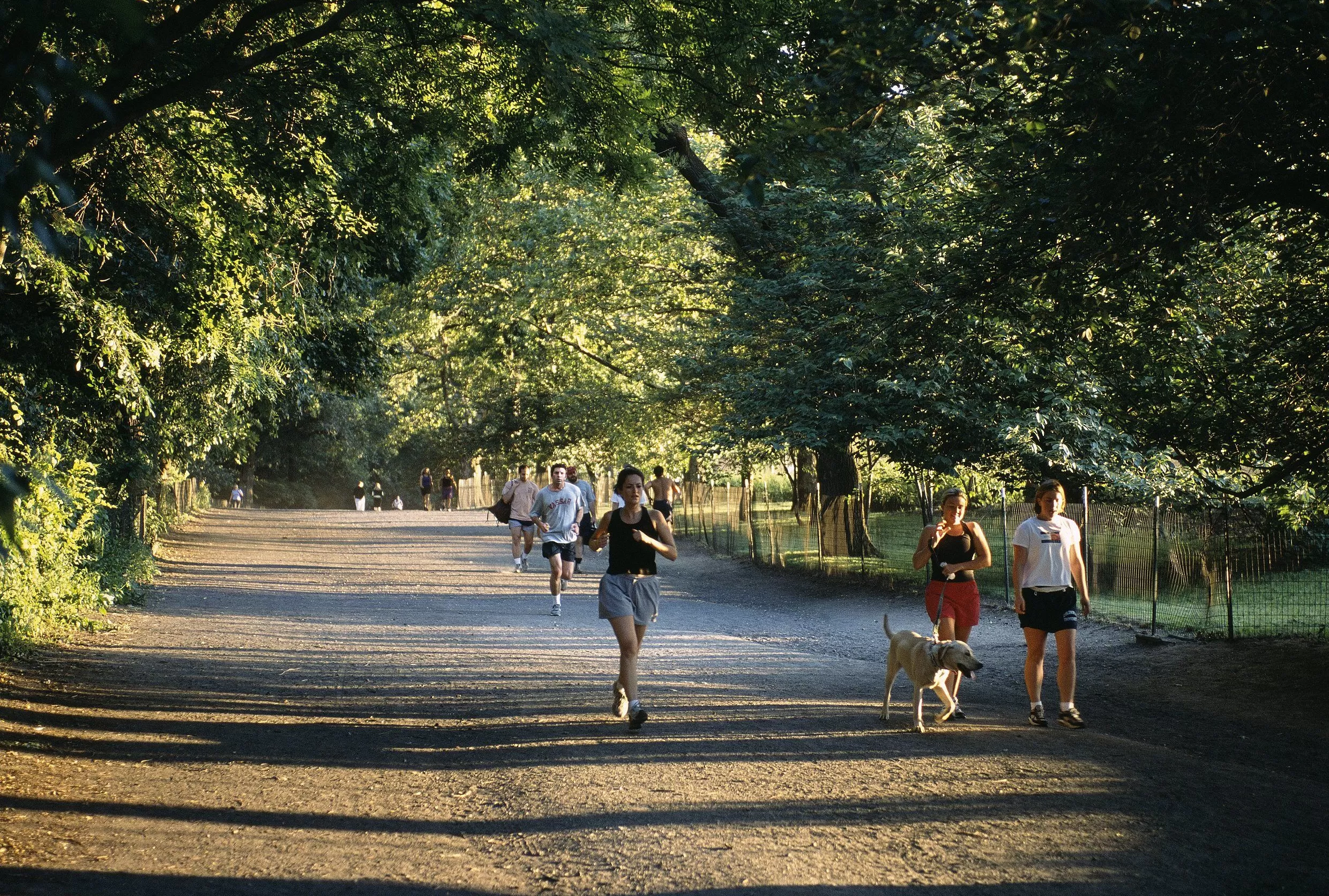 在自我叙事盛行的当下,还需要来自外部的观看吗?从狄迪恩说起-第5张图片- 在自我叙事盛行的当下,还需要来自外部的观看吗?从狄迪恩说起-第5张图片-