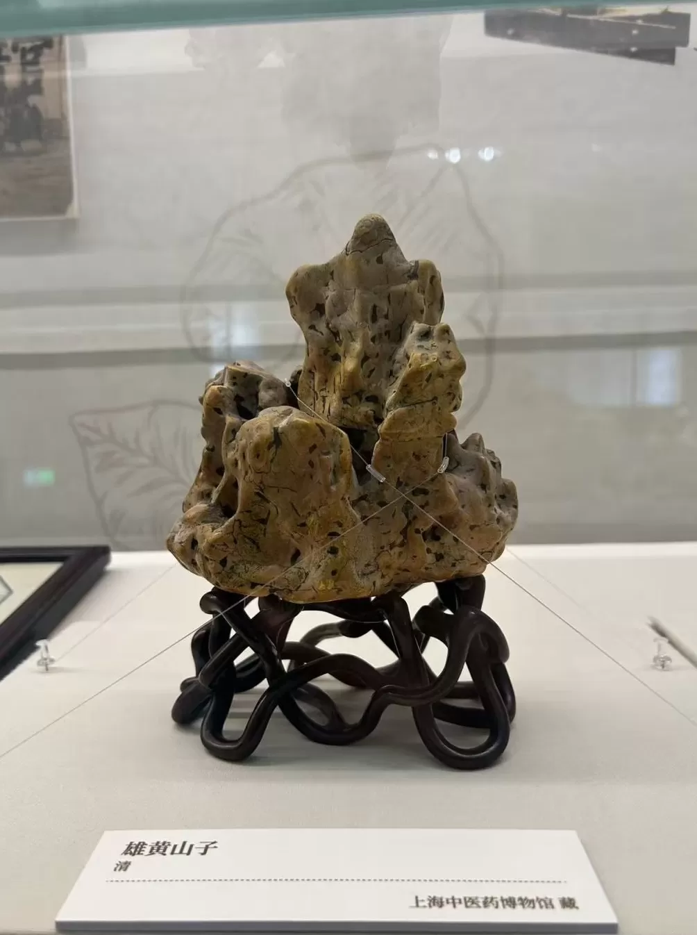 上海缘何成为近代中医学重镇？这个展览有答案-第5张图片-