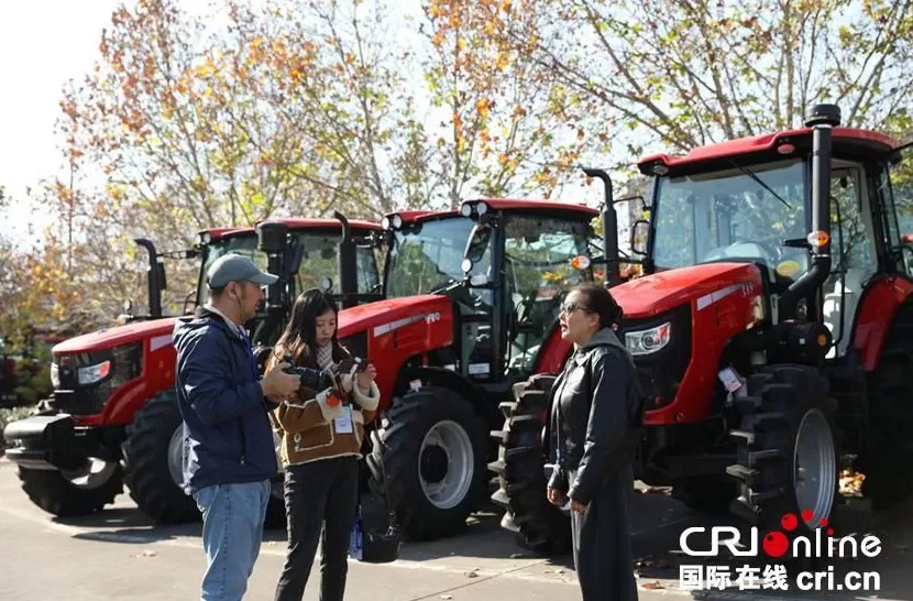 2025打卡中国】这里藏着中国最硬核的浪漫！外国网红狂赞：“洛阳，不愧是你！”-第5张图片-