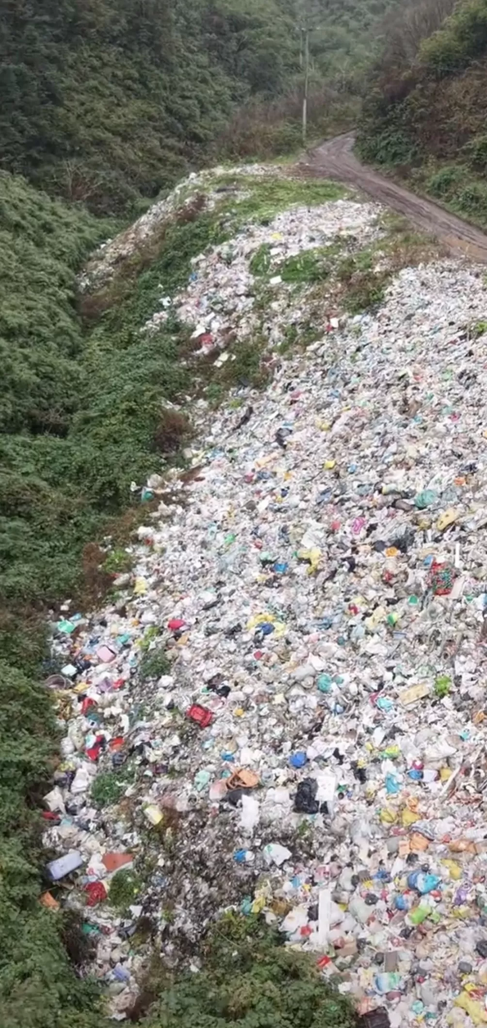 云南彝良县连夜清理深山垃圾，将开展农村生活垃圾大排查整治-第1张图片-