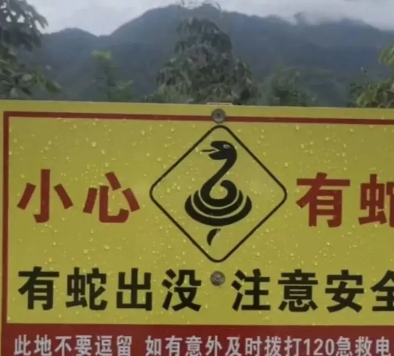 没有功德,只剩缺德-第1张图片- 没有功德,只剩缺德-第1张图片-