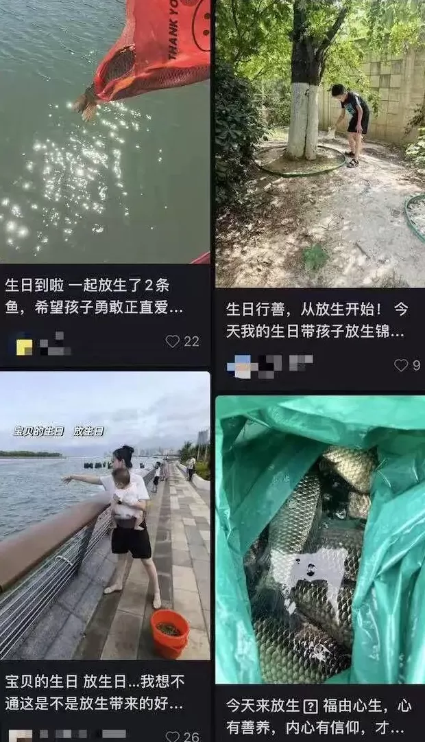 没有功德,只剩缺德-第3张图片- 没有功德,只剩缺德-第3张图片-