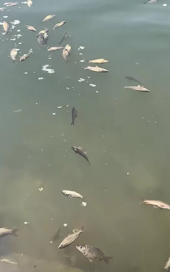 没有功德,只剩缺德-第6张图片- 没有功德,只剩缺德-第6张图片-