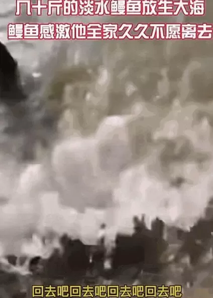 没有功德,只剩缺德-第8张图片- 没有功德,只剩缺德-第8张图片-