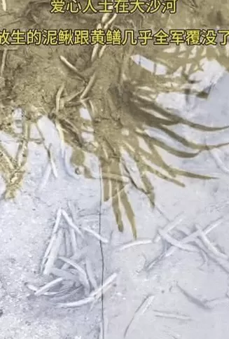 没有功德,只剩缺德-第7张图片- 没有功德,只剩缺德-第7张图片-