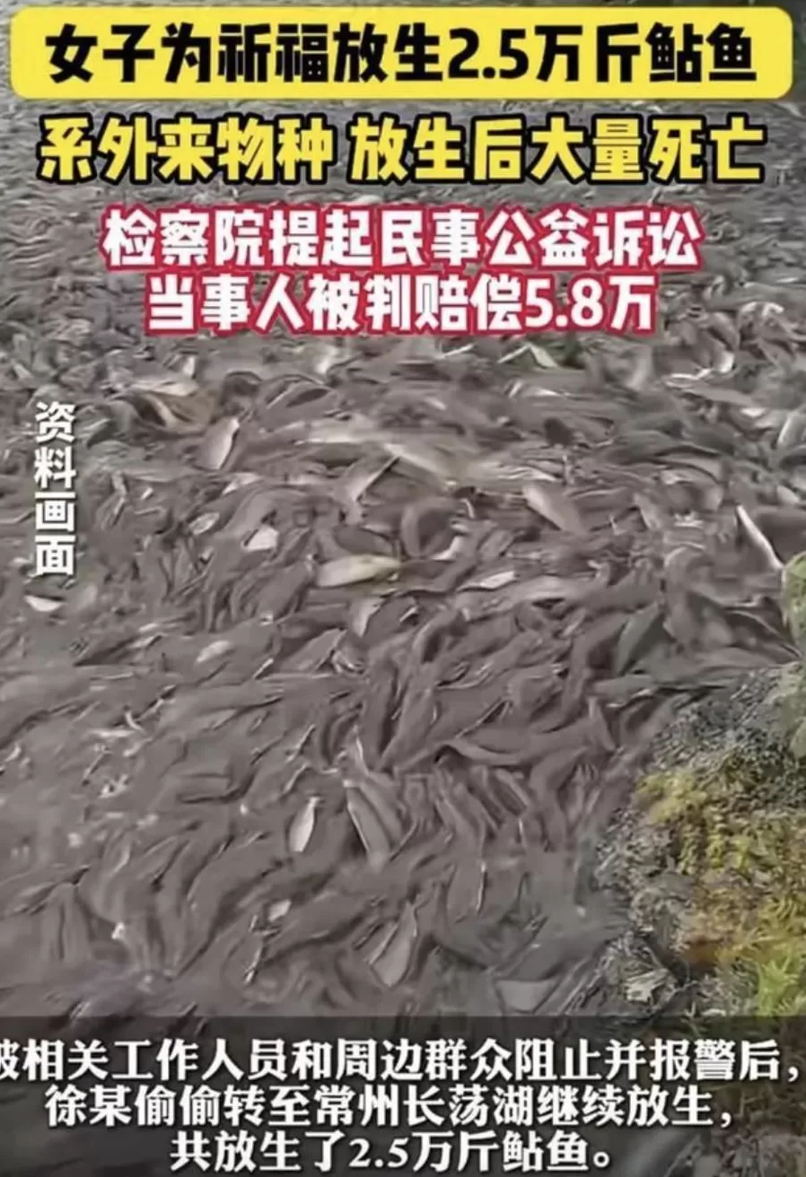 没有功德,只剩缺德-第12张图片- 没有功德,只剩缺德-第12张图片-