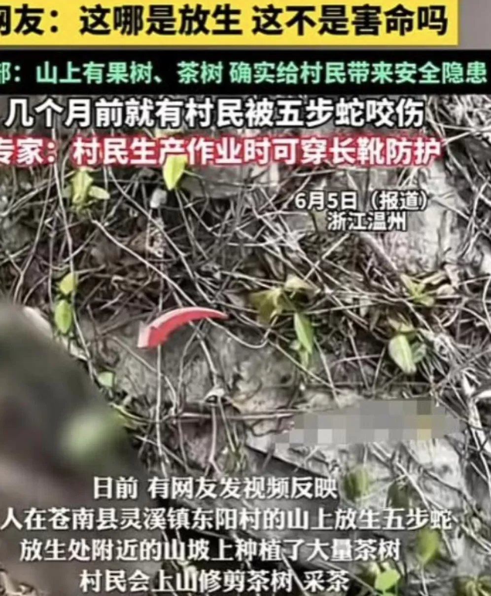 没有功德,只剩缺德-第10张图片- 没有功德,只剩缺德-第10张图片-