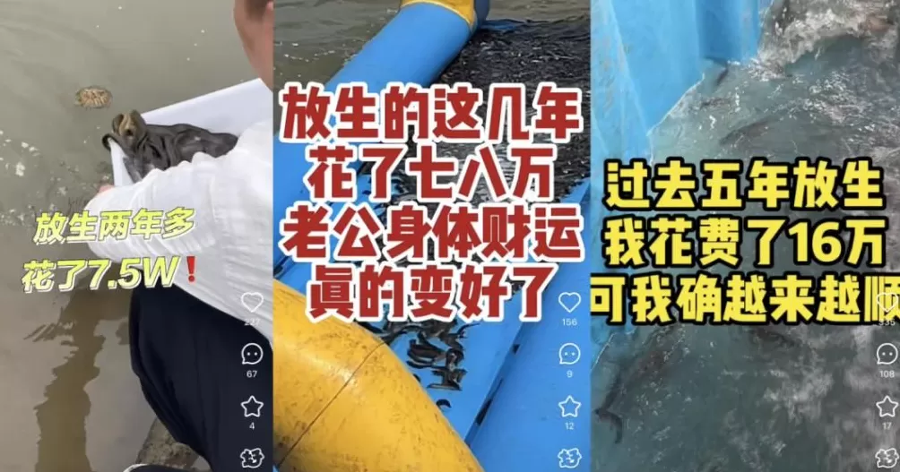 没有功德,只剩缺德-第16张图片- 没有功德,只剩缺德-第16张图片-