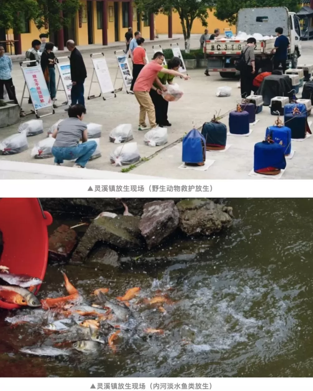 没有功德,只剩缺德-第21张图片- 没有功德,只剩缺德-第21张图片-