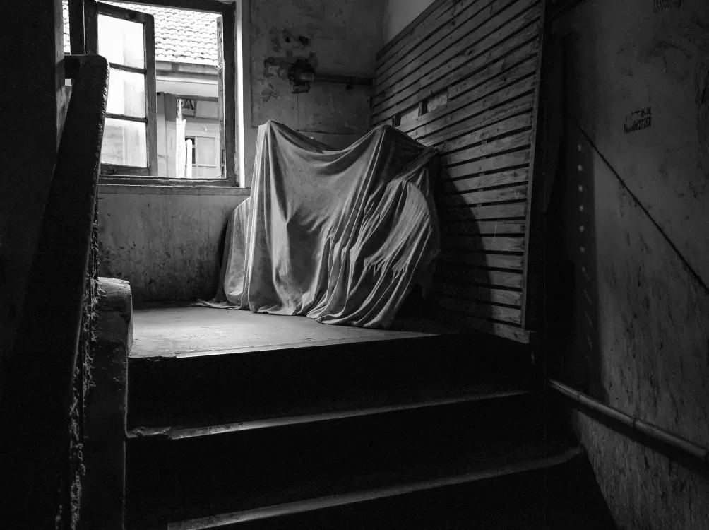 看展览｜百年顺昌路的烟火气，黄唯个展在菜肉馄饨会客厅开幕-第13张图片-