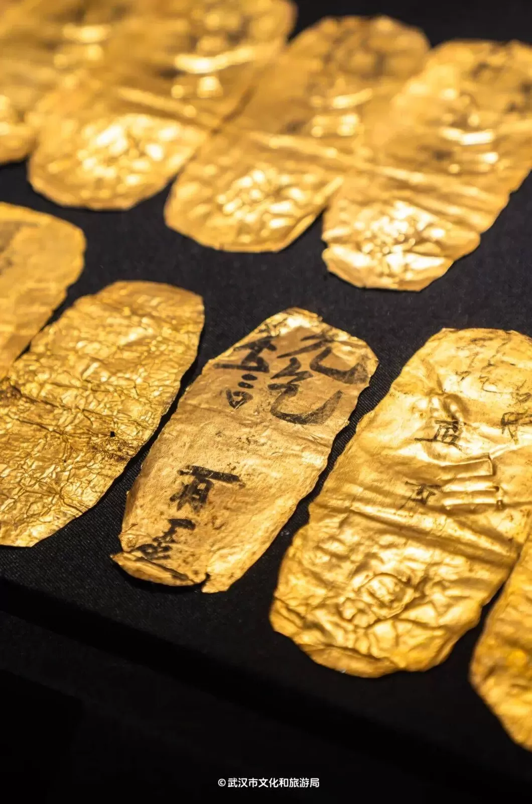 一周展讯｜文献笔墨间的舒同与上海-第47张图片-