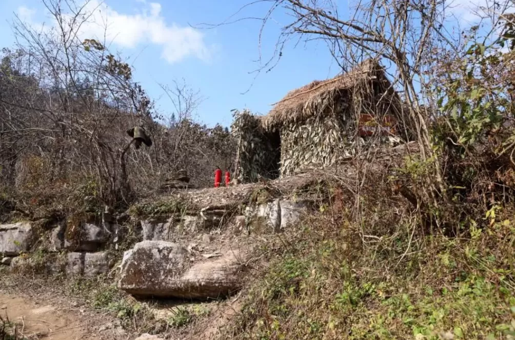 张家界荒野求生，一群想过得好一点的人-第3张图片-