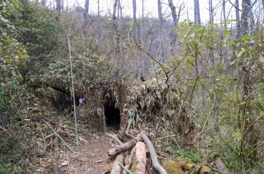 张家界荒野求生，一群想过得好一点的人-第6张图片-