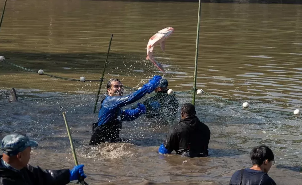 光明日报：全校师生一起下湖抓鱼，为啥全网围观？-第1张图片-