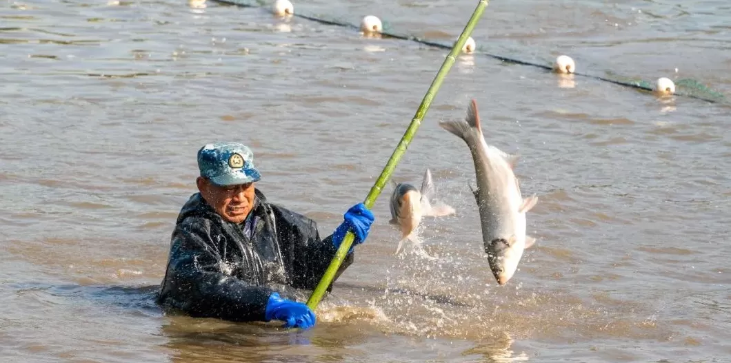 光明日报：全校师生一起下湖抓鱼，为啥全网围观？-第2张图片-