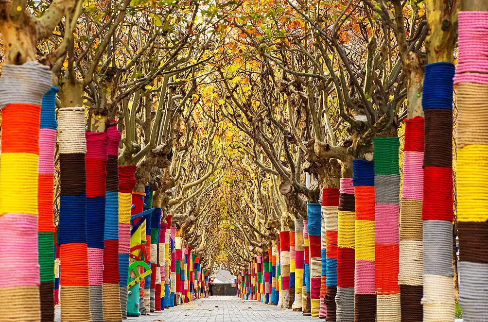 一周图片｜我国破解宇宙线“膝”，中微子实验发布首个成果-第7张图片-