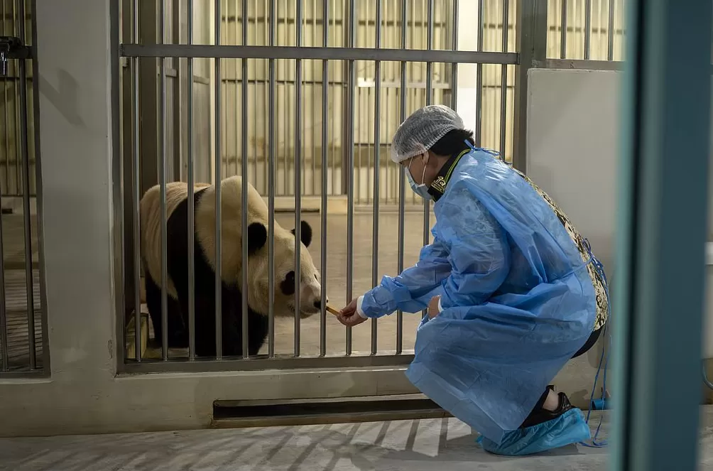 一周图片｜我国破解宇宙线“膝”，中微子实验发布首个成果-第12张图片-