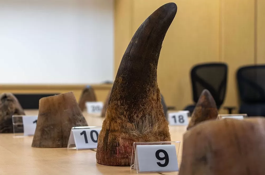 一周图片｜我国破解宇宙线“膝”，中微子实验发布首个成果-第14张图片-